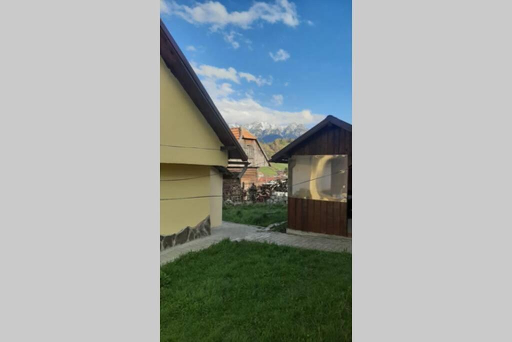 Casa In Curte La Zavate Βίλα Μπραν Εξωτερικό φωτογραφία