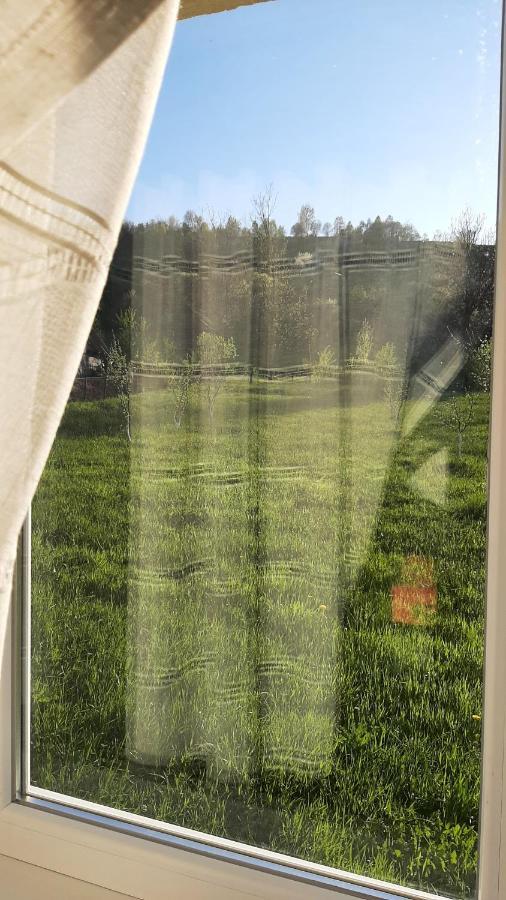 Casa In Curte La Zavate Βίλα Μπραν Εξωτερικό φωτογραφία
