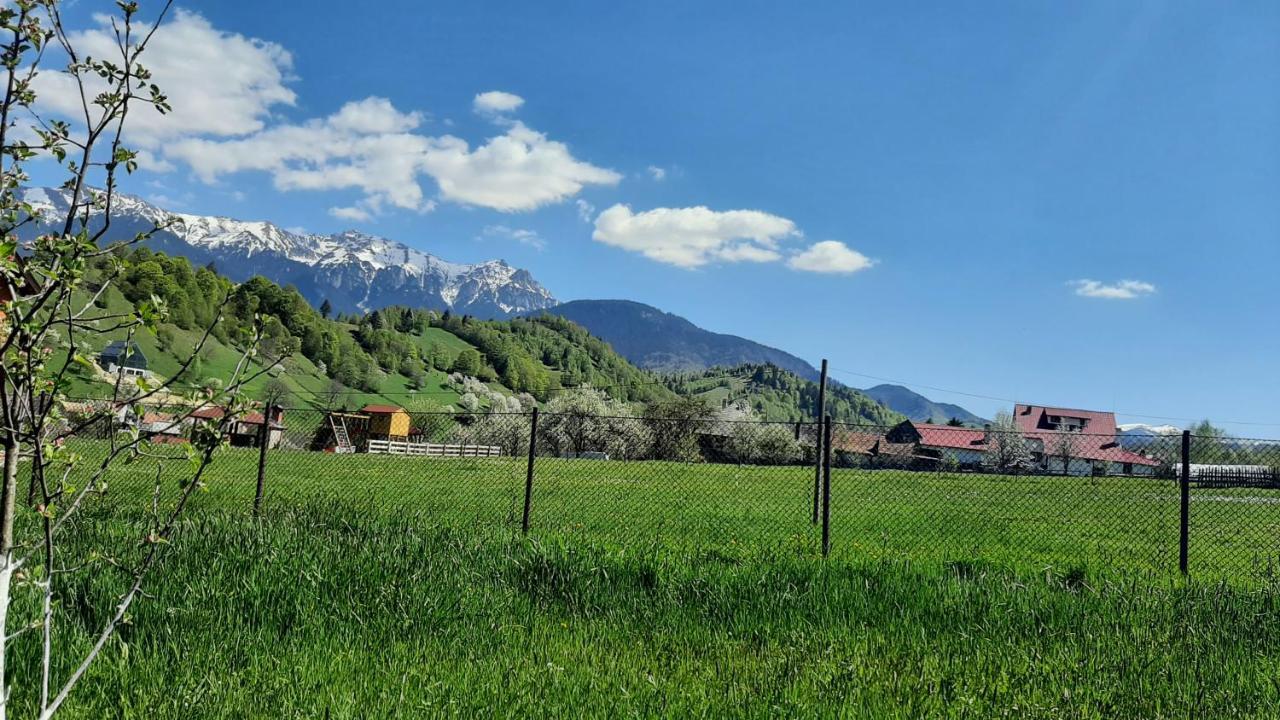 Casa In Curte La Zavate Βίλα Μπραν Εξωτερικό φωτογραφία
